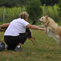 hundeschule_dogdance_55