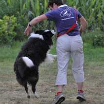 hundeschule_dogdance_69