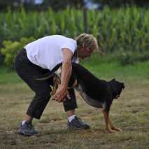 hundeschule_dogdance_78