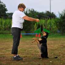 hundeschule_dogdance_80